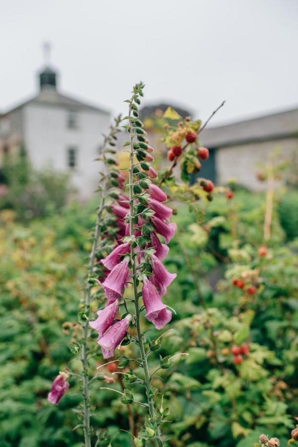 Ballydugan Bed & Breakfast Downpatrick