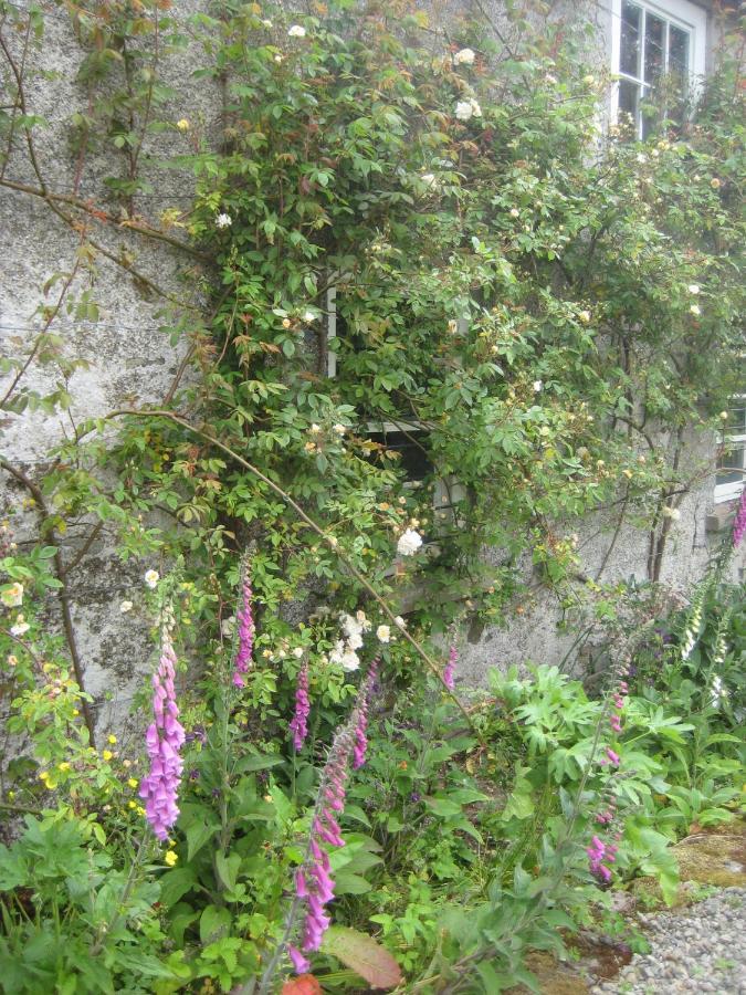 Ballydugan *