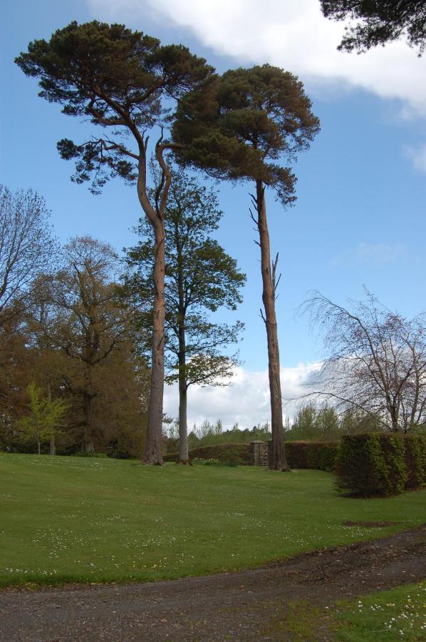 Ballydugan Bed & Breakfast *